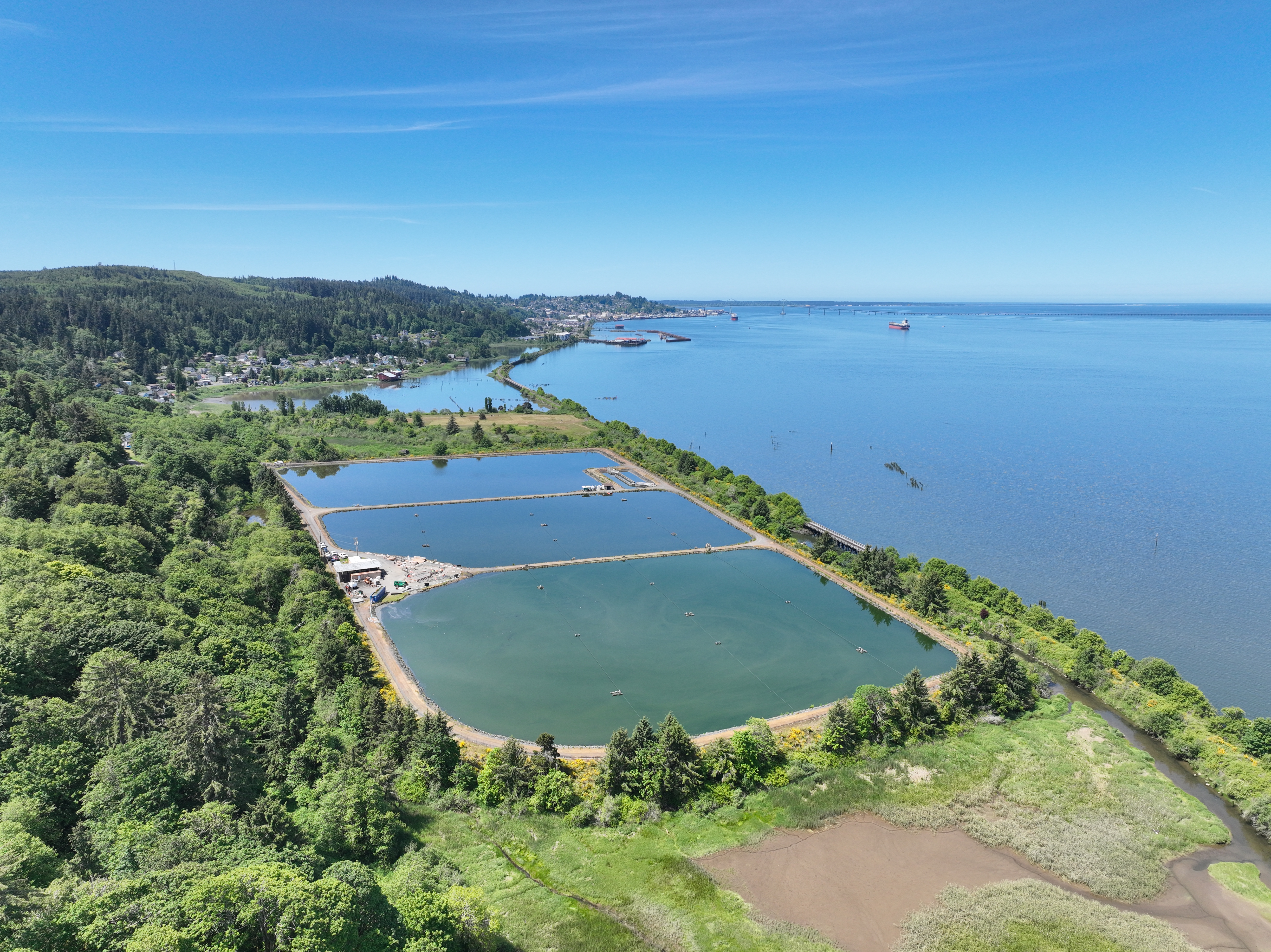 DJI_20250527115547_0011_V DJI_20250527115547_0011_V